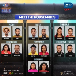 Big Brother Naija Season 9 Housemate Pairs